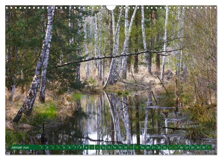 Produktbild: Der Loben. Im Reich der Moorgeister und Kreuzottern- S&uuml;dbrandenburgs letztes gro&szlig;es Moor (Wandkalender 2026 DIN A3 quer), CALVENDO Monatskalender