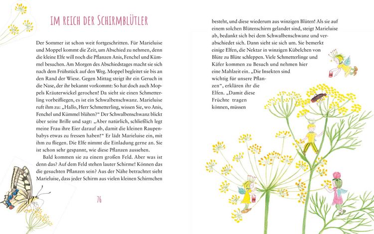 Produktbild: Der Duft der Rose