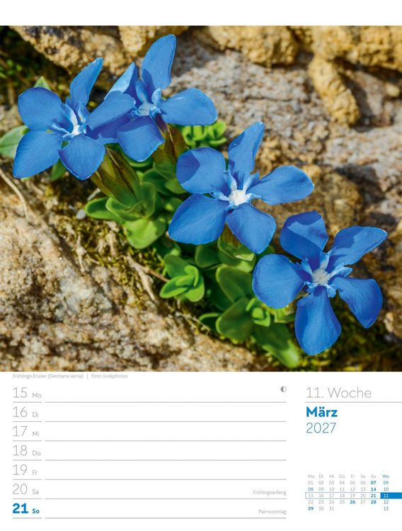 Produktbild: Faszination Alpenwelt Wochenplaner Kalender 2027