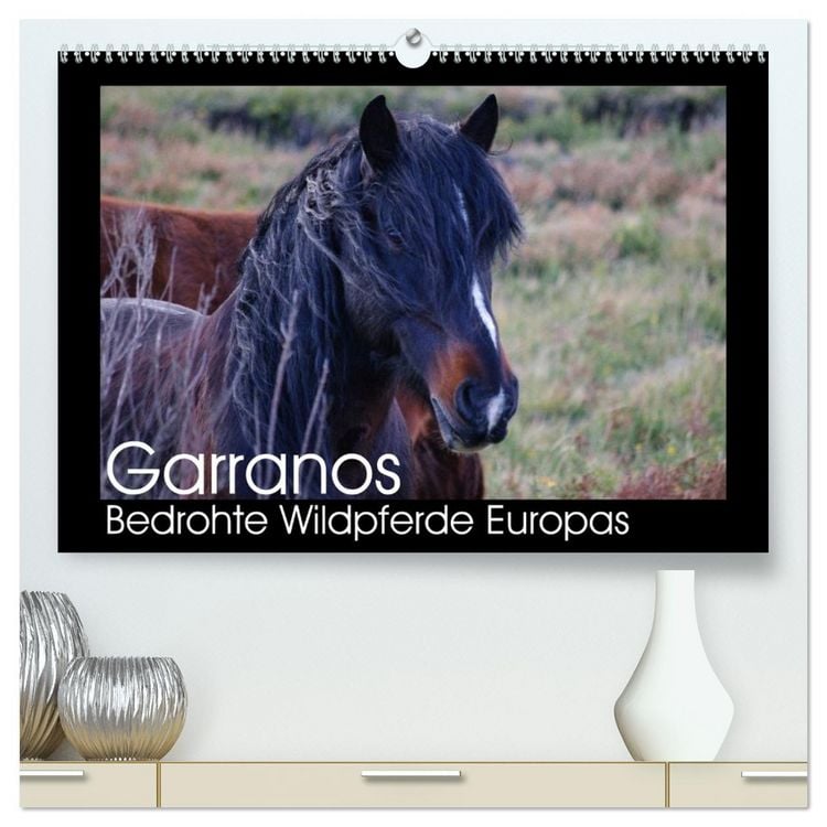 Produktbild: Garranos - Bedrohte Wildpferde Europas (hochwertiger Premium Wandkalender 2026 DIN A2 quer), Kunstdruck in Hochglanz