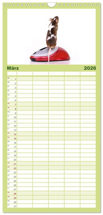 Produktbild: Familienplaner 2026 - S&uuml;&szlig;e M&auml;use und Coole Ratten mit 5 Spalten (Wandkalender, 21 x 45 cm) CALVENDO