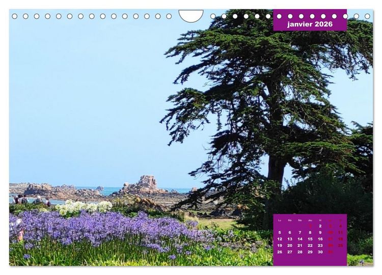 Produktbild: Br&eacute;hat dans tous ses &eacute;tats (Calendrier mural 2026 DIN A4 vertical), CALVENDO calendrier mensuel