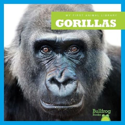Produktbild: Gorillas