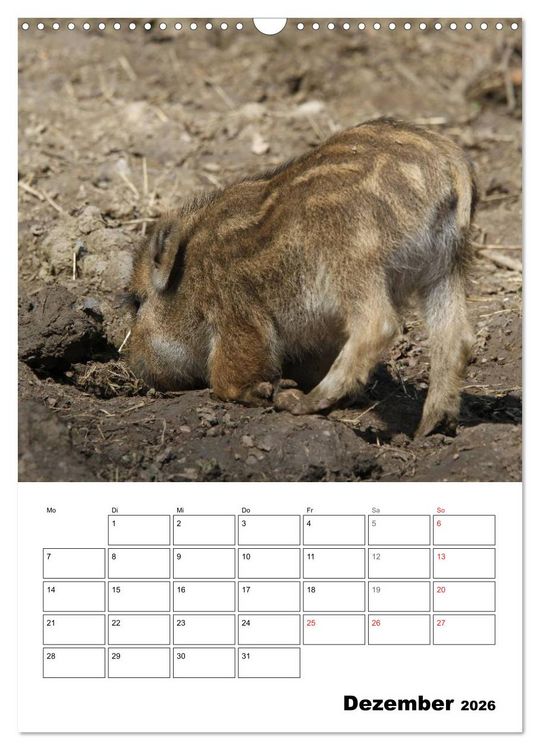 Produktbild: Der wildschweinische Terminplaner (Wandkalender 2026 DIN A3 hoch), CALVENDO Monatskalender