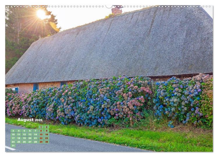 Produktbild: Ein Hortensientraum (Wandkalender 2026 DIN A2 quer), CALVENDO Monatskalender