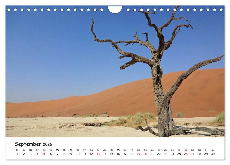 Produktbild: Natur und Landschaft. S&uuml;dliches Afrika 2026 (Wandkalender 2026 DIN A4 quer), CALVENDO Monatskalender