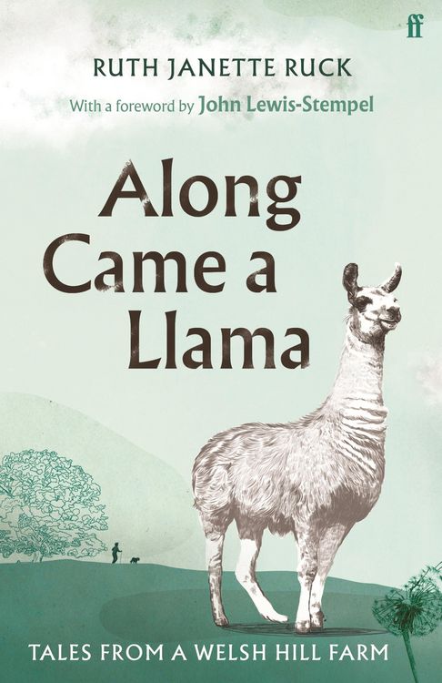 Produktbild: Along Came a Llama
