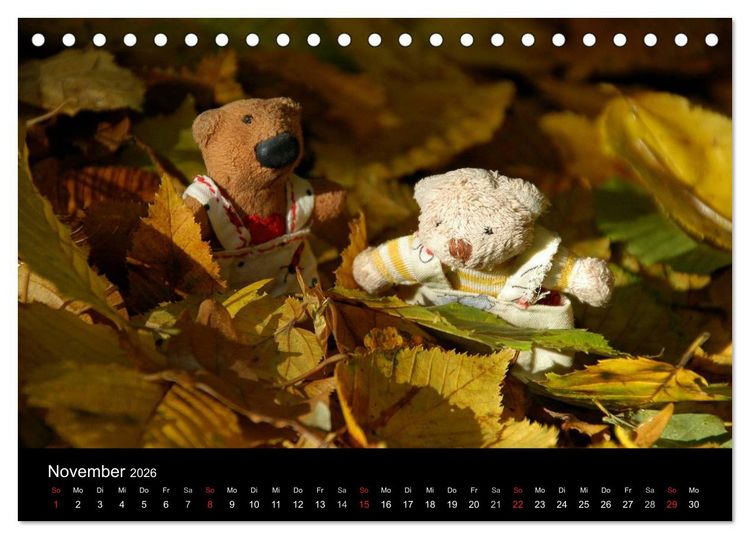 Produktbild: Der B&auml;rchenkalender 2026 (Tischkalender 2026 DIN A5 quer), CALVENDO Monatskalender