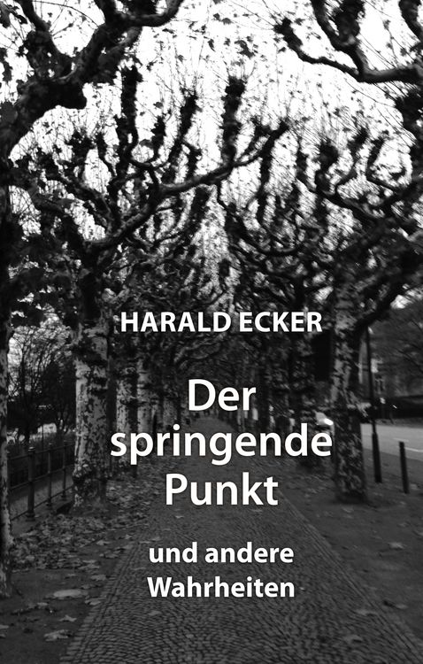 Produktbild: Der springende Punkt und andere Wahrheiten