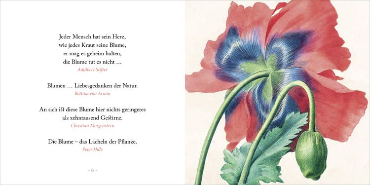 "Weise gehen in den Garten" online kaufen