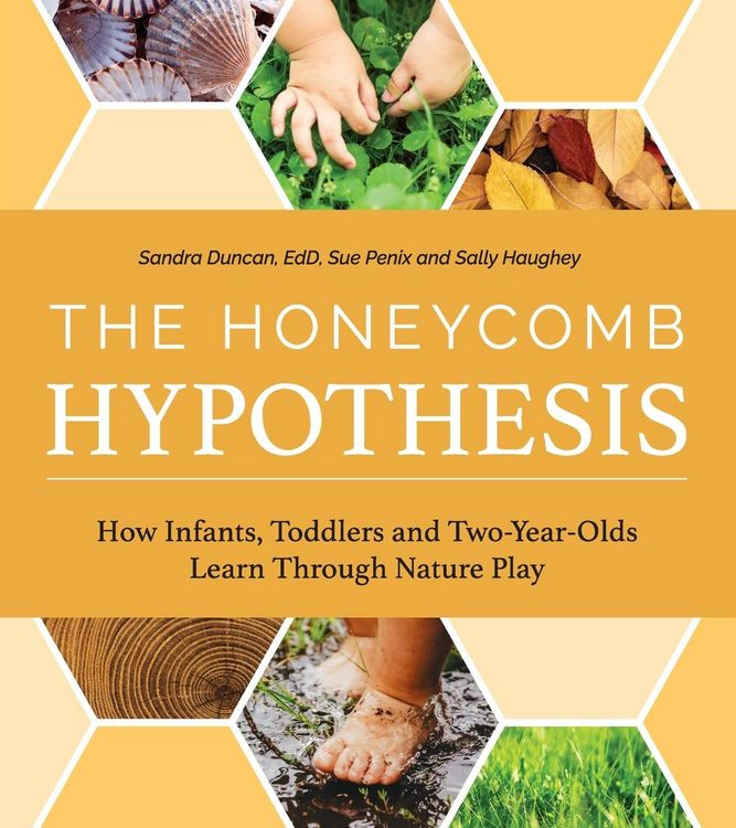 Produktbild: The Honeycomb Hypothesis