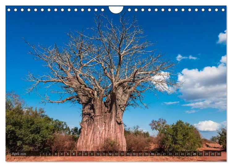 Produktbild: S&uuml;dafrika - Die Landschaft (Wandkalender 2026 DIN A4 quer), CALVENDO Monatskalender