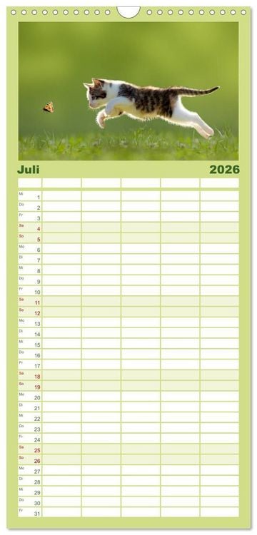 Produktbild: Familienplaner 2026 - K&auml;tzchen 2026 mit 5 Spalten (Wandkalender, 21 x 45 cm) CALVENDO