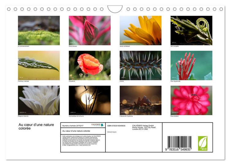 Produktbild: Au c&oelig;ur d&rsquo;une nature color&eacute;e (Calendrier mural 2026 DIN A4 vertical), CALVENDO calendrier mensuel