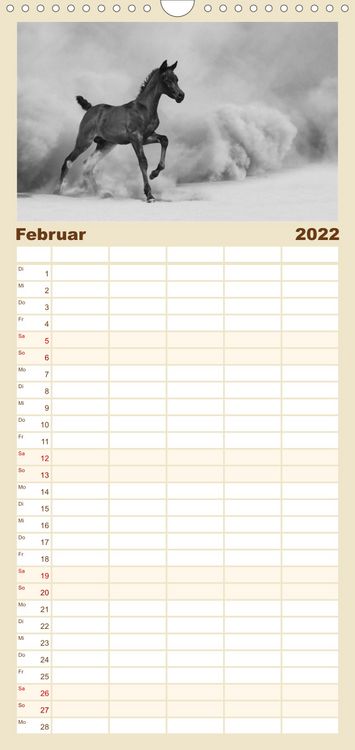 Produktbild: Familienplaner Arabische Pferde (Wandkalender 2022 , 21 cm x 45 cm, hoch)