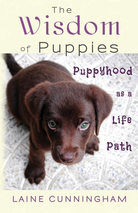 Produktbild: The Wisdom of Puppies