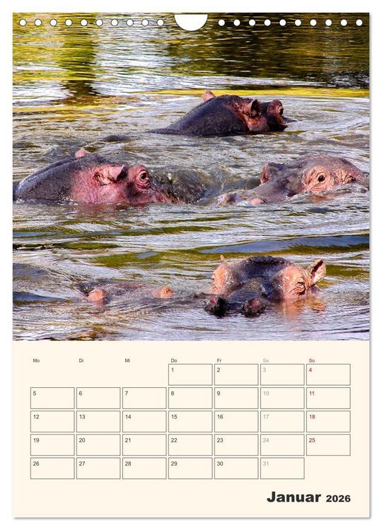 Produktbild: Kenia &ndash; Terminplaner (Wandkalender 2026 DIN A4 hoch), CALVENDO Monatskalender