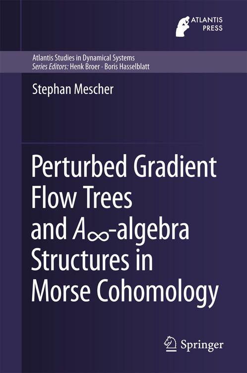 Produktbild: Perturbed Gradient Flow Trees and A&infin;-algebra Structures in Morse Cohomology