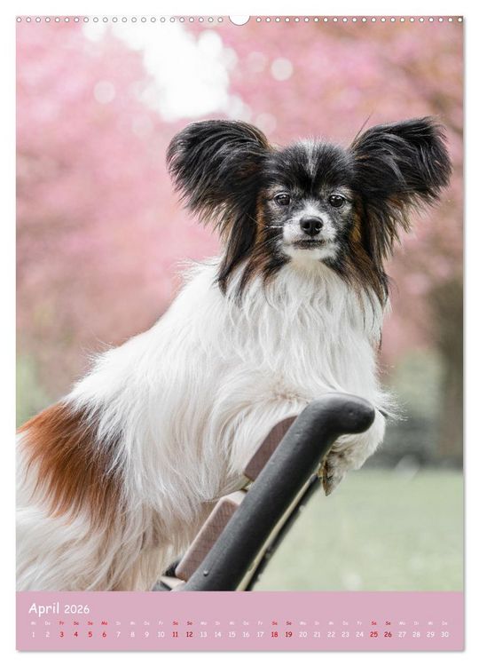 Produktbild: Flora Canidae - der Hunde-Bl&uuml;hpflanzen-Kalender (hochwertiger Premium Wandkalender 2026 DIN A2 hoch), Kunstdruck in Hochglanz