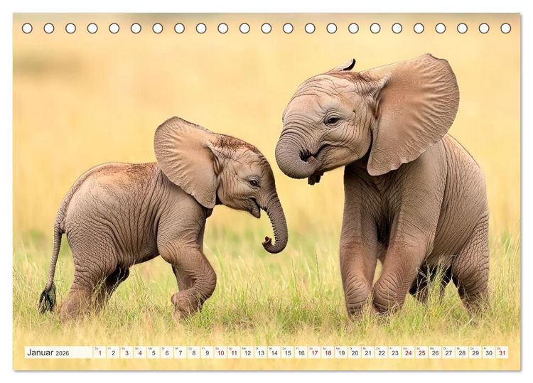 Produktbild: TIERKINDER Abenteuer Wildnis (Tischkalender 2026 DIN A5 quer), CALVENDO Monatskalender