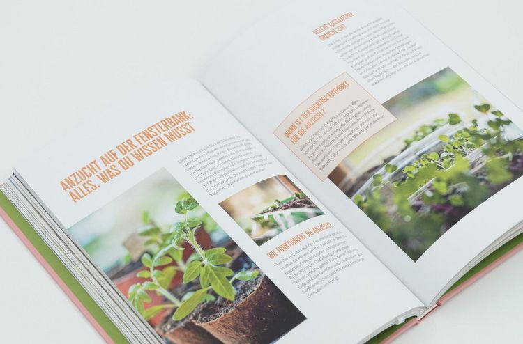 Produktbild: Hochbeet - Jetzt durchstarten!