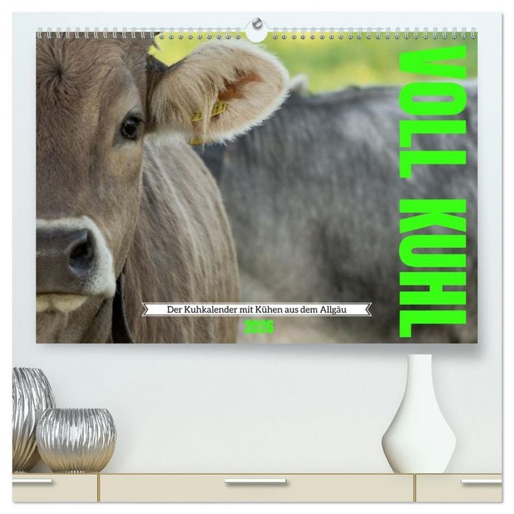 Produktbild: Voll kuhl - der Kuhkalender mit K&uuml;hen aus dem Allg&auml;u (hochwertiger Premium Wandkalender 2026 DIN A2 quer), Kunstdruck in Hochglanz