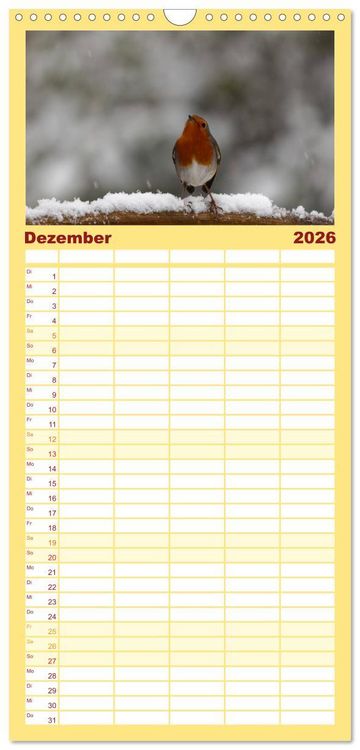 Produktbild: Familienplaner 2026 - Rotkehlchen - Fotografiert von Ostfriesenfotografie mit 5 Spalten (Wandkalender, 21 x 45 cm) CALVENDO
