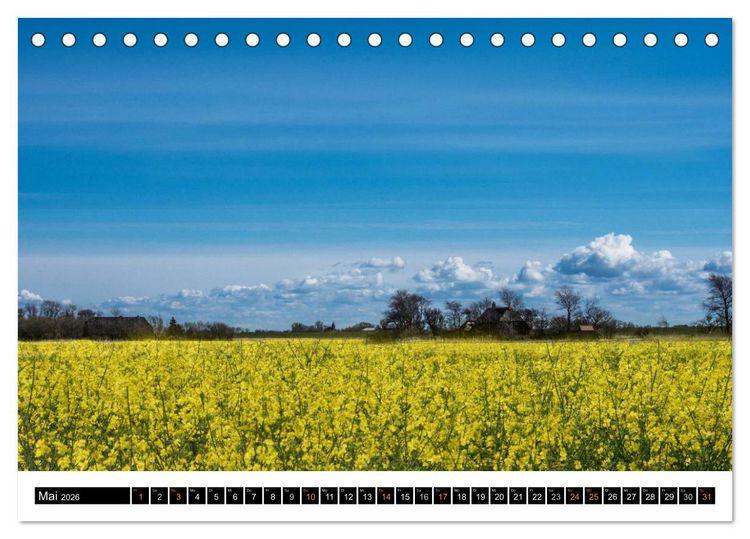 Produktbild: Tr&auml;umende Bilder - Die Nordseehalbinsel Eiderstedt (Tischkalender 2026 DIN A5 quer), CALVENDO Monatskalender