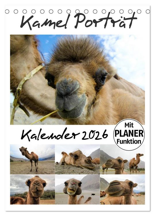 Produktbild: Kamel Portr&auml;t (Tischkalender 2026 DIN A5 hoch), CALVENDO Monatskalender