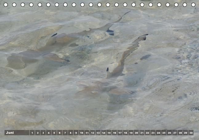 Produktbild: Gili Nanggu - Paradiesische kleine Insel (Tischkalender immerw&auml;hrend DIN A5 quer)