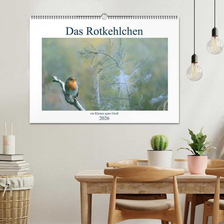 Produktbild: Das Rotkehlchen, ein Kleiner ganz Gro&szlig; (Wandkalender 2026 DIN A2 quer), CALVENDO Monatskalender