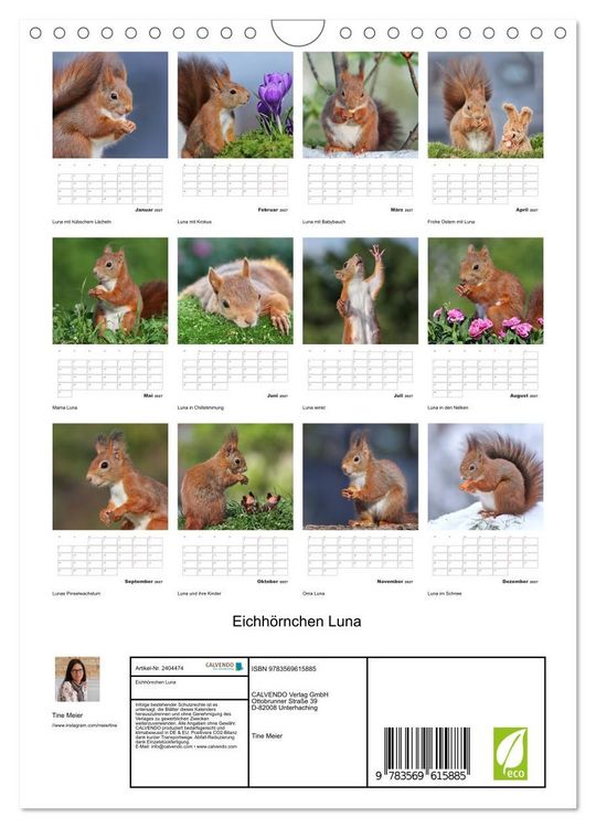 Produktbild: Eichh&ouml;rnchen Luna (Wandkalender 2027 DIN A4 hoch), CALVENDO Monatskalender
