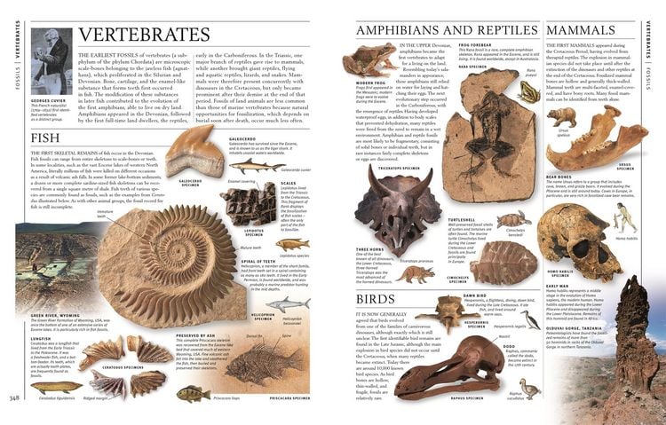 Produktbild: Steine & Mineralien