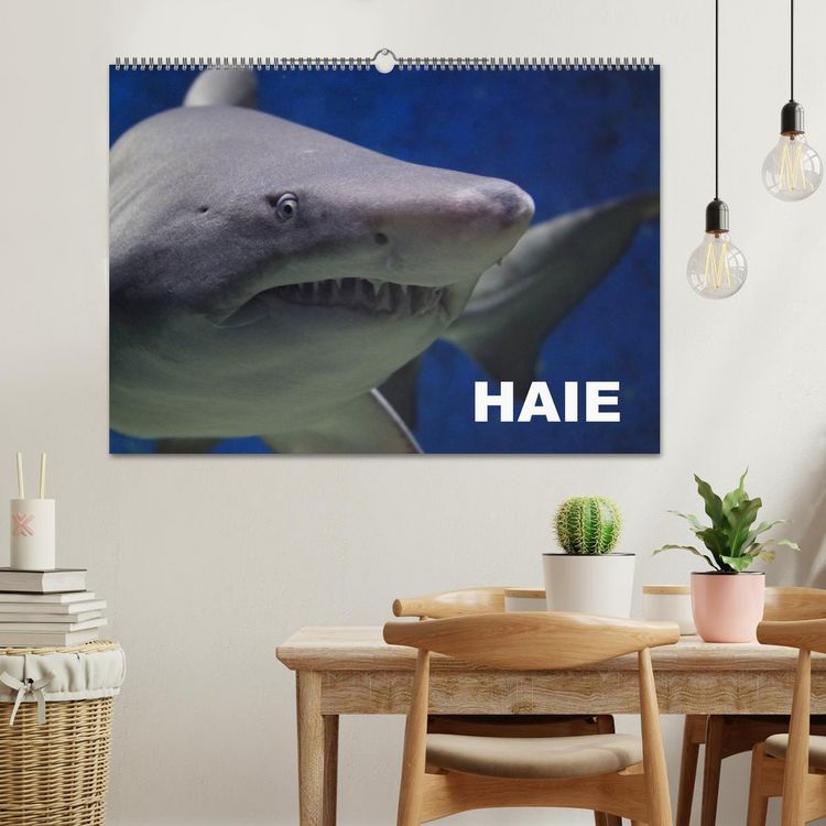 Produktbild: Haie (Wandkalender 2026 DIN A2 quer), CALVENDO Monatskalender
