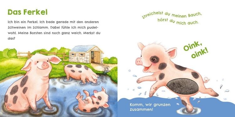 Produktbild: H&ouml;r mal, wie ich schnattern kann (Mein erstes Streichel-Soundbuch 1)