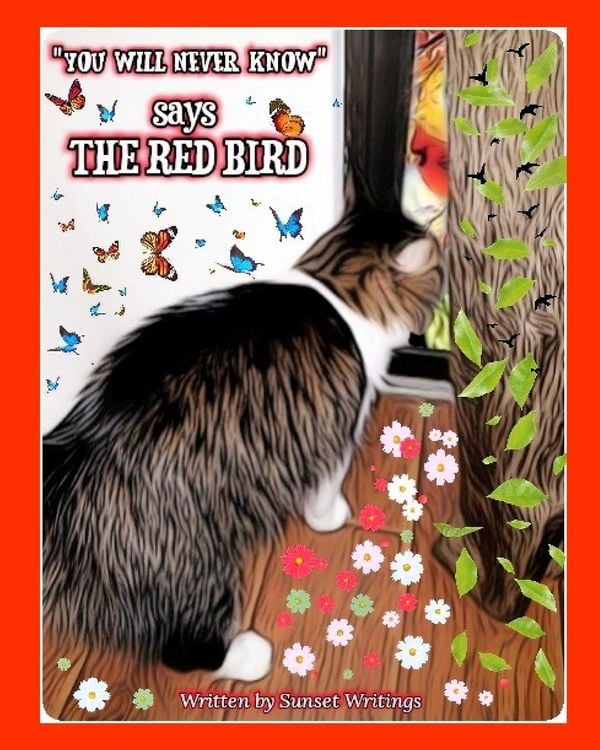 Produktbild: "How Will You Know?" Says The Red Bird