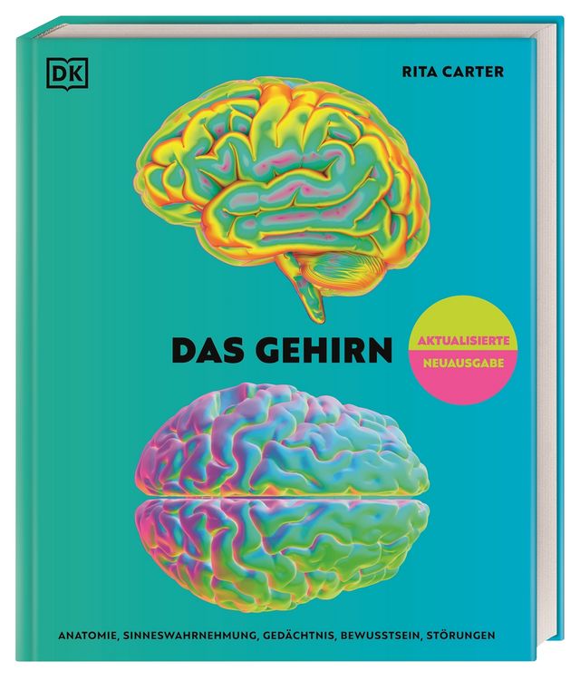 Produktbild: Das Gehirn