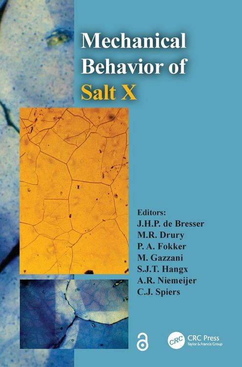Produktbild: The Mechanical Behavior of Salt X