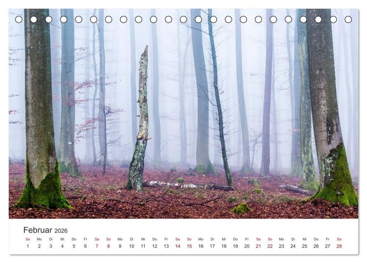 Produktbild: Im Deutschen Wald (Tischkalender 2026 DIN A5 quer), CALVENDO Monatskalender