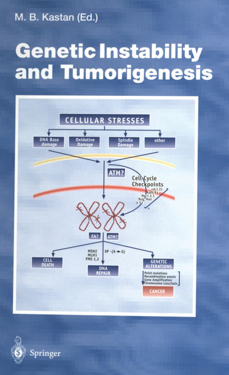 Produktbild: Genetic Instability and Tumorigenesis