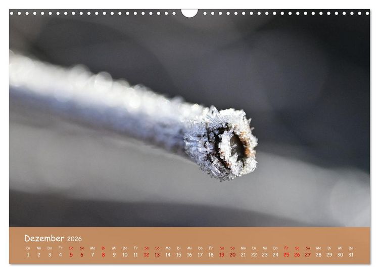Produktbild: Der Zauber steckt immer im Detail (Wandkalender 2026 DIN A3 quer), CALVENDO Monatskalender