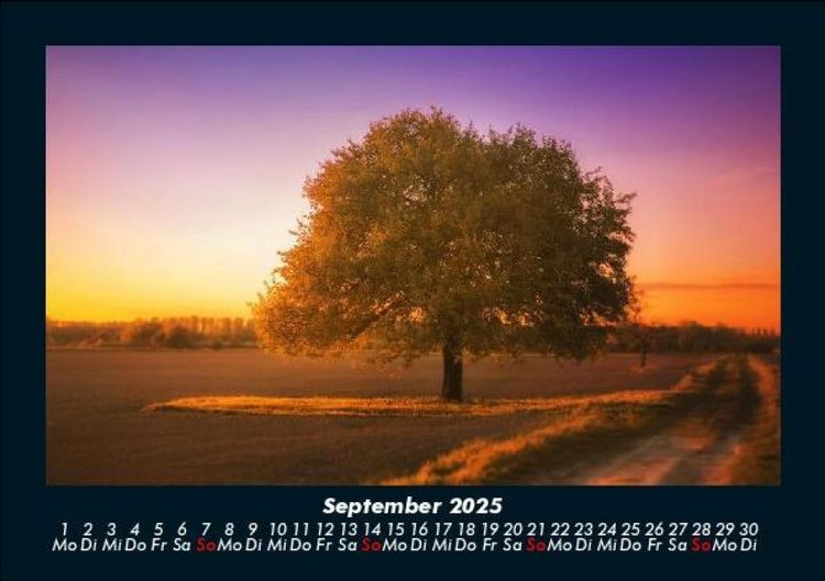 Produktbild: B&auml;ume 2025 Fotokalender DIN A5
