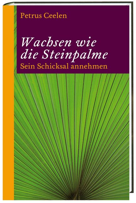 Produktbild: Wachsen wie die Steinpalme