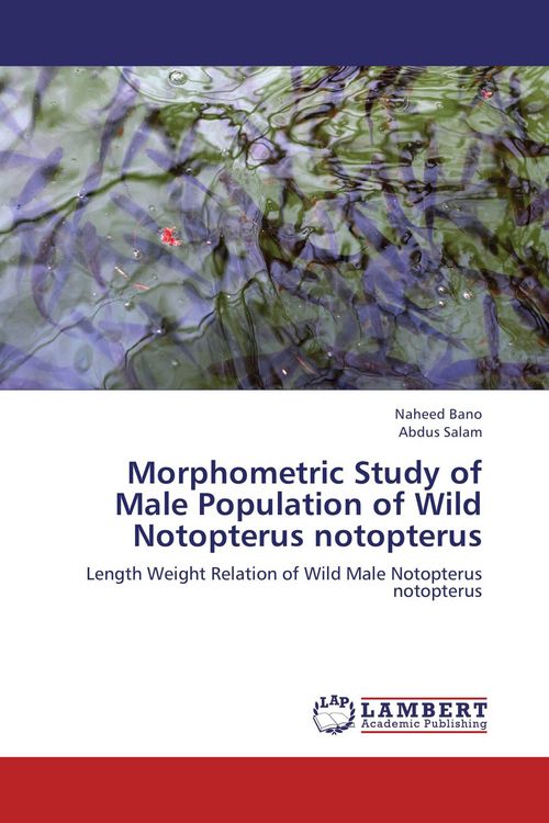 Produktbild: Morphometric Study of Male Population of Wild Notopterus notopterus
