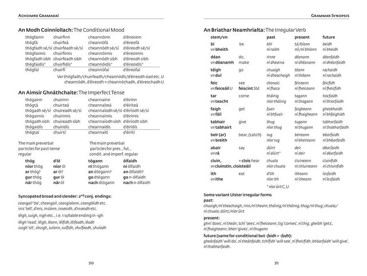 Produktbild: Easy Learning Irish Verbs