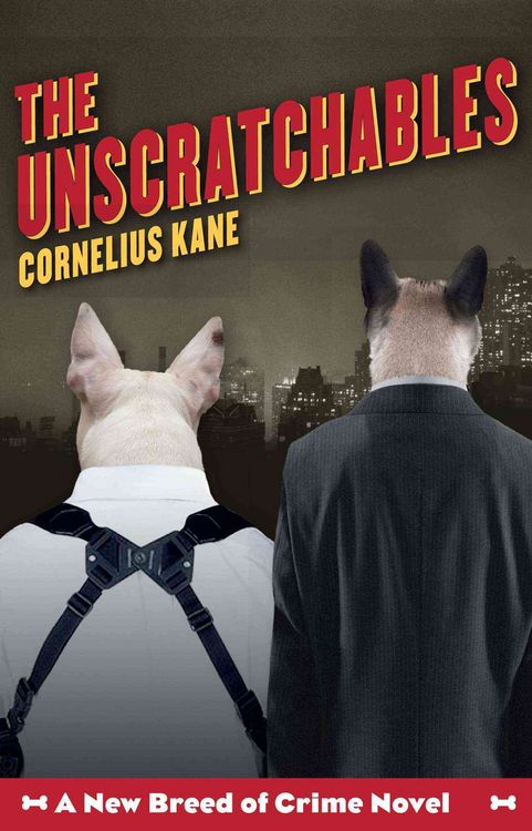 Produktbild: Unscratchables