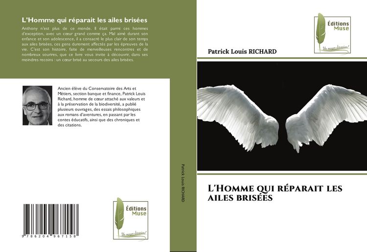 Produktbild: L'Homme qui r&eacute;parait les ailes bris&eacute;es