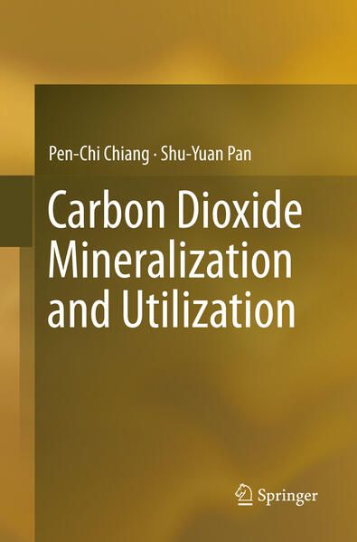 Produktbild: Carbon Dioxide Mineralization and Utilization