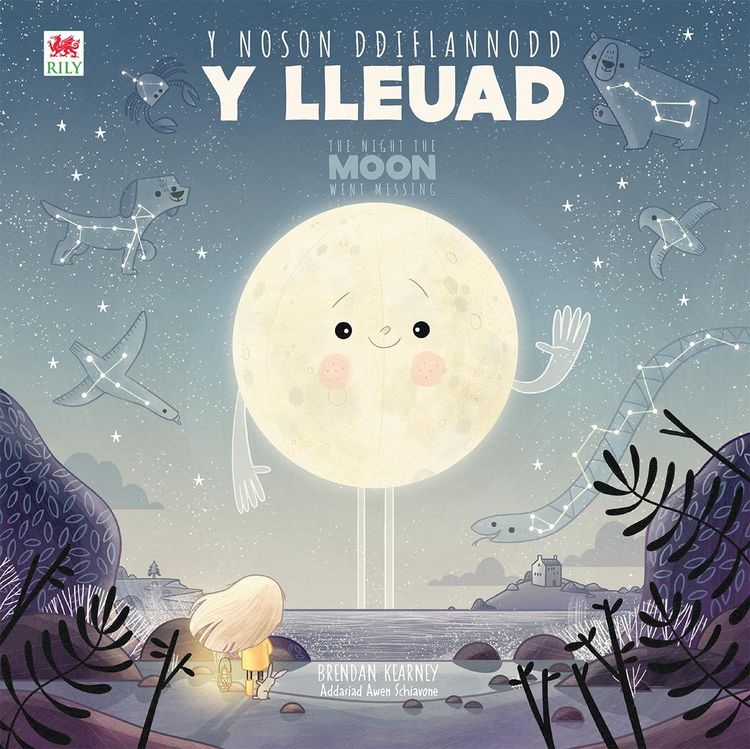 Produktbild: Noson Ddiflannodd y Lleuad, Y / Night the Moon Went Missing, The