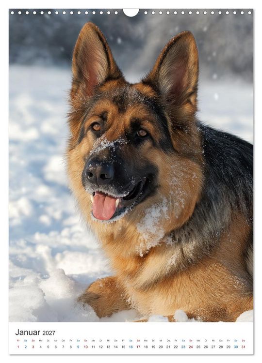 Produktbild: Seelenblick Sch&auml;ferhund (Wandkalender 2027 DIN A3 hoch), CALVENDO Monatskalender